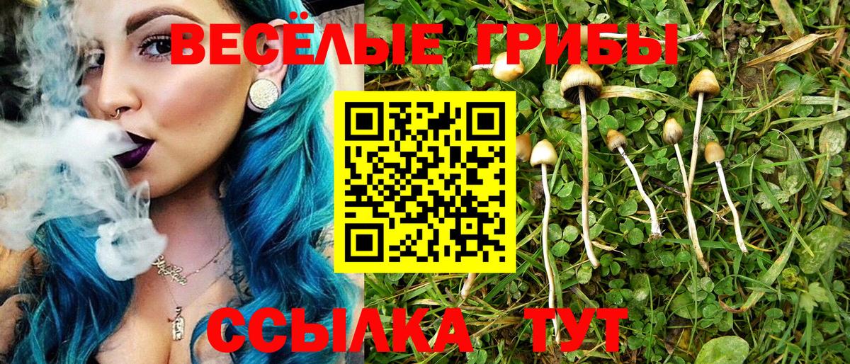 Галлюциногенные грибы Cubensis Урай
