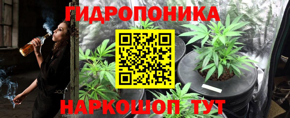Каннабис семена Урай